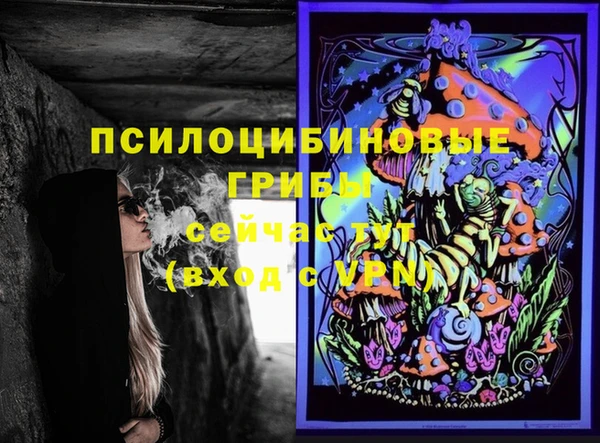 ПСИЛОЦИБИНОВЫЕ ГРИБЫ Армянск